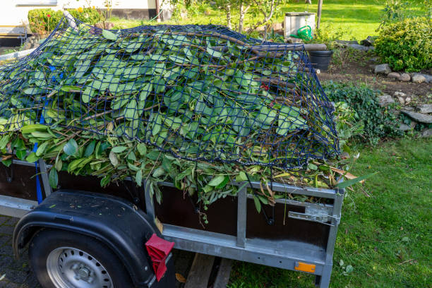 Best Carpet Removal and Disposal  in Waterbury, CT